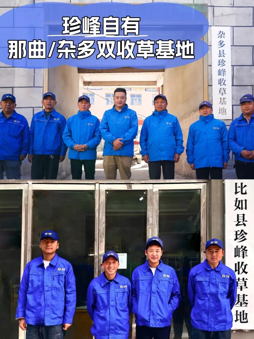 虫草市场的猛料,刺痛了多少中年人