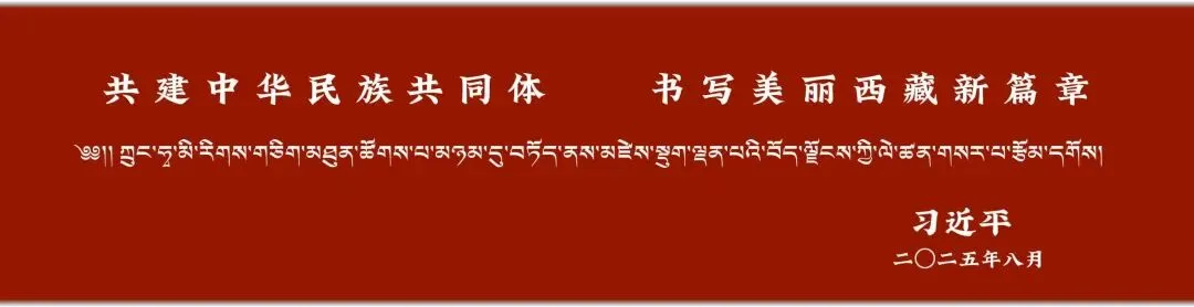 【嘉黎图文新闻】农科站开展牛肉市场专项检查