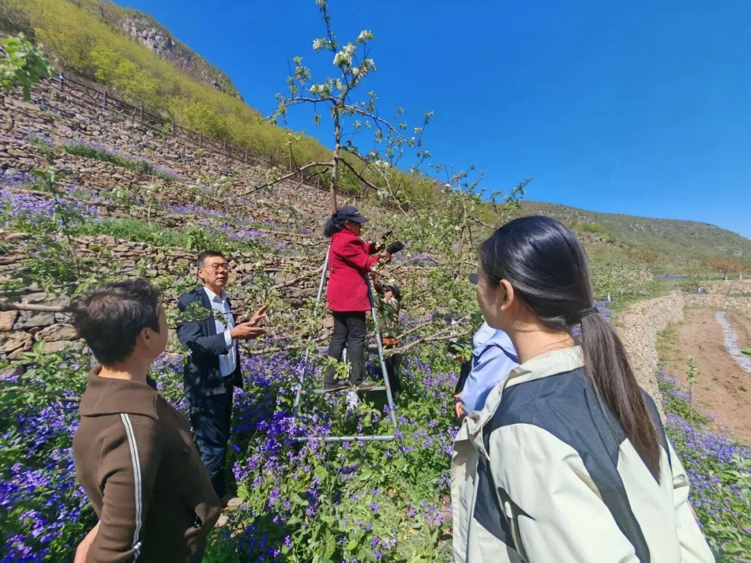 【模范机关建设】市林业局、市市场监管局