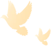 北美千亿建材市场|2026 多伦多国际建材博览会,中国企业出海首选!