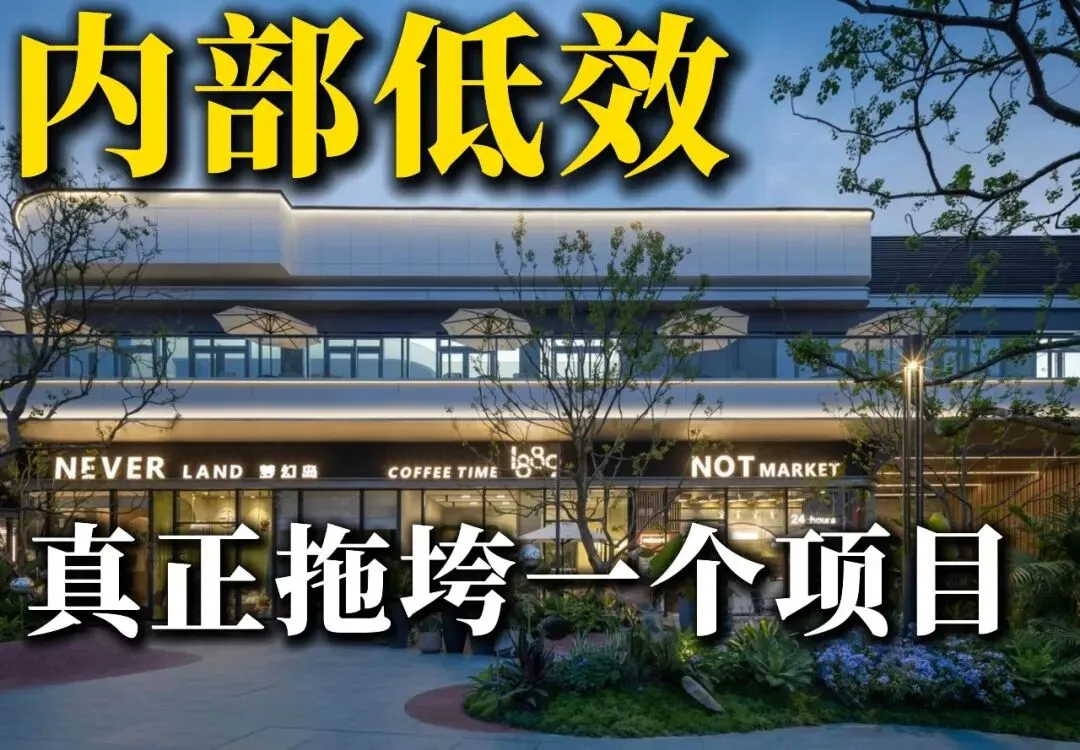 真正拖垮一个项目的,往往不是市场,而是内部低效共识