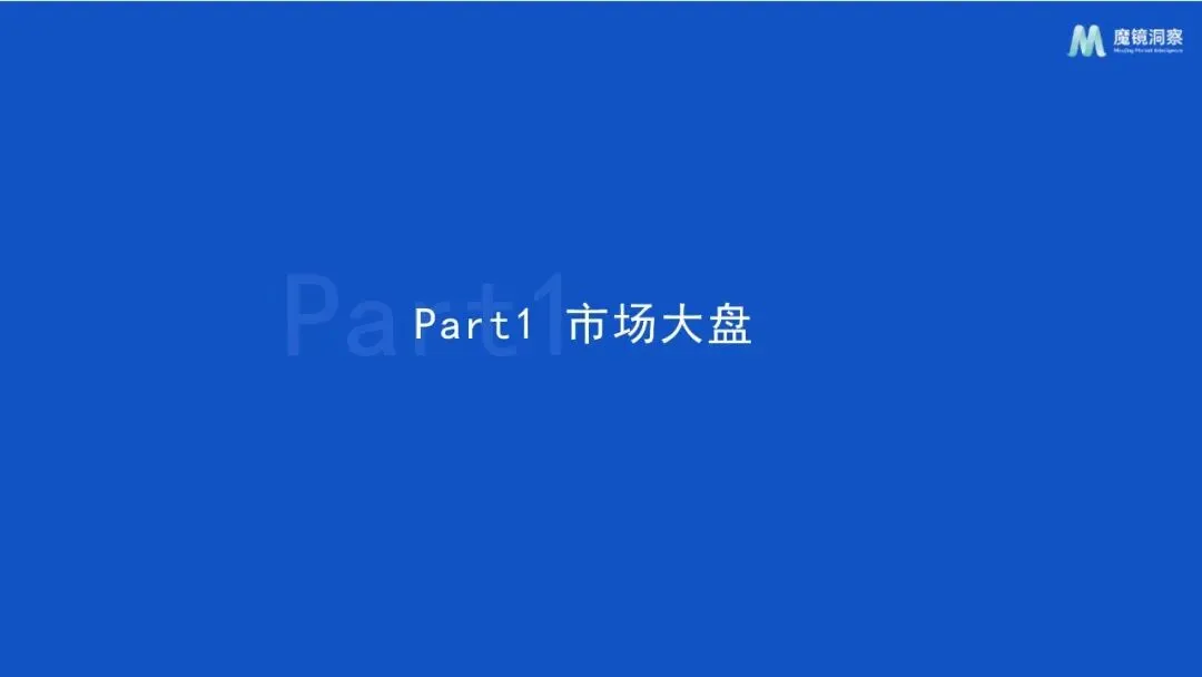 2025年织物与家居清洁市场趋势洞察报告Vz(附下载)