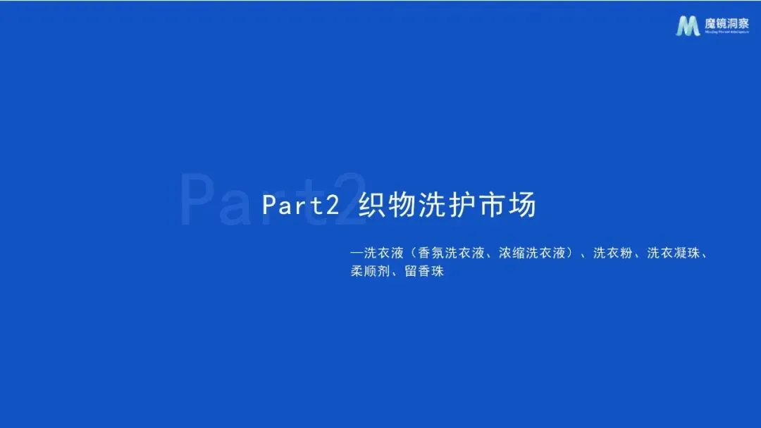 2025年织物与家居清洁市场趋势洞察报告Vz(附下载)