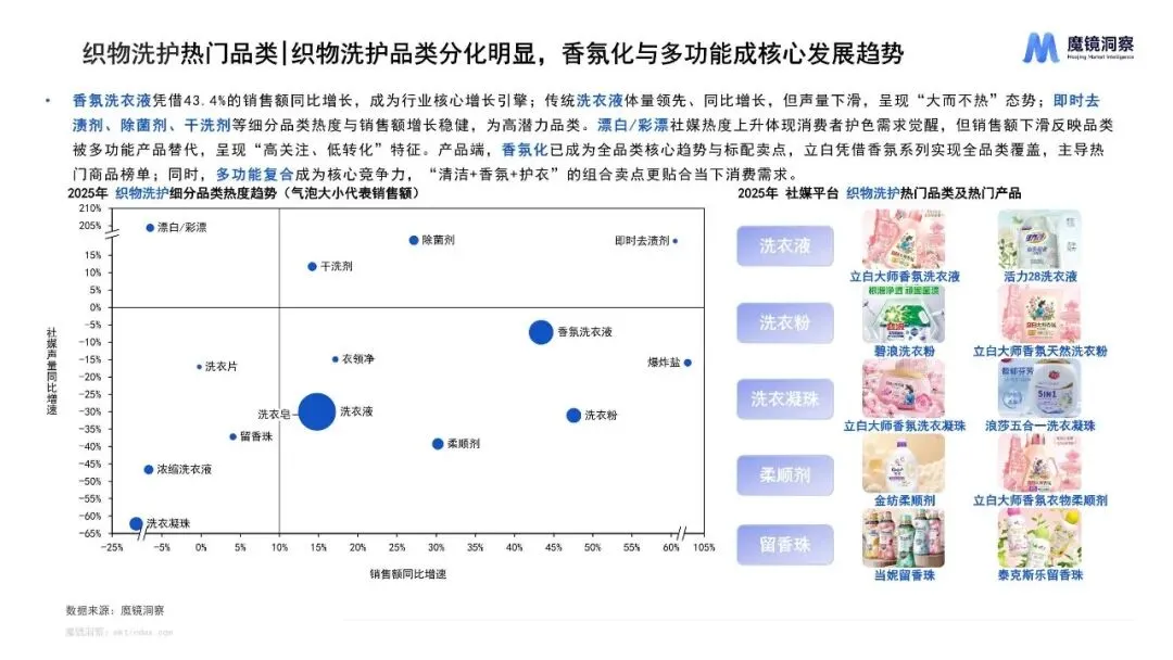 2025年织物与家居清洁市场趋势洞察报告Vz(附下载)