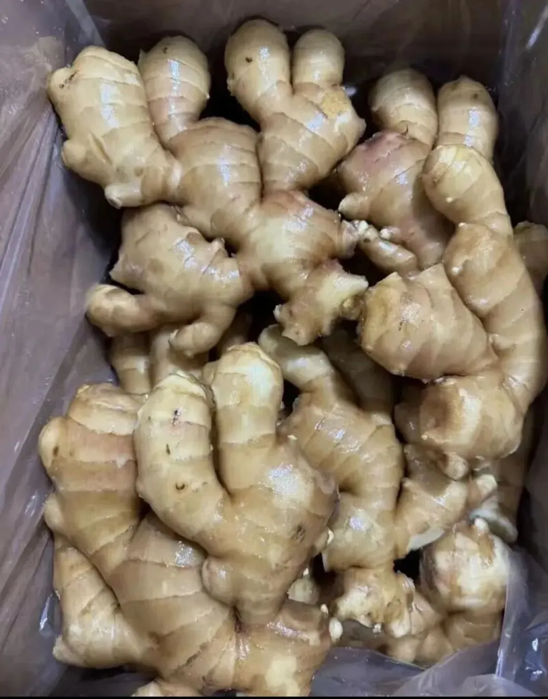 2026年4月14号昌邑生姜市场较昨天新圆头姜、上货量较昨日持平,下货正常,价格稳!