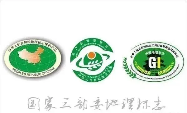 省知识产权局,省农业农村厅,省市场监督管理局,省乡村振兴局关于开展地理标志助力乡村振兴行动的通知