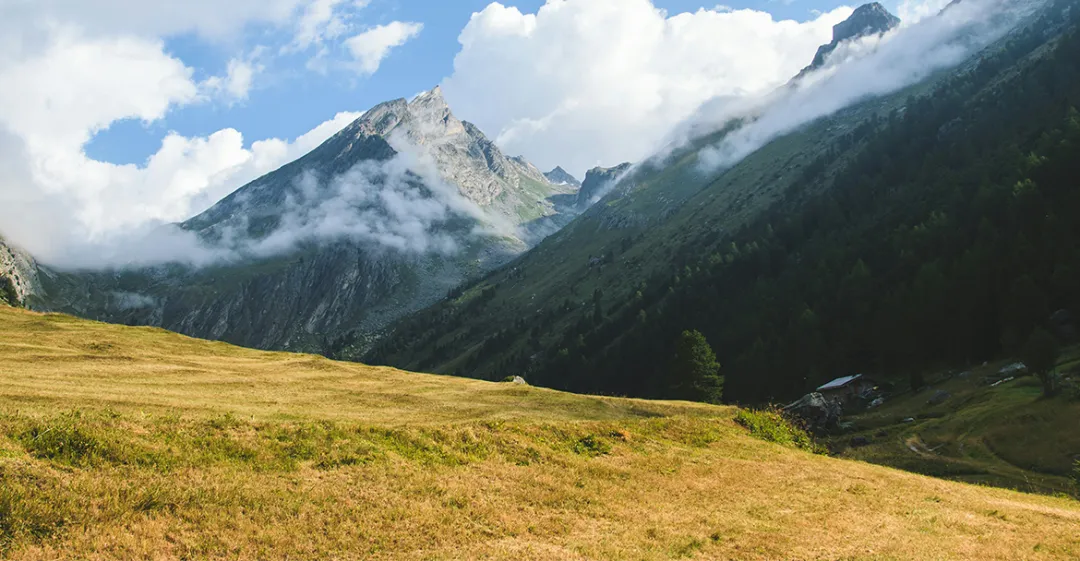 一周市场回顾(W15):市场阶段性触底反弹