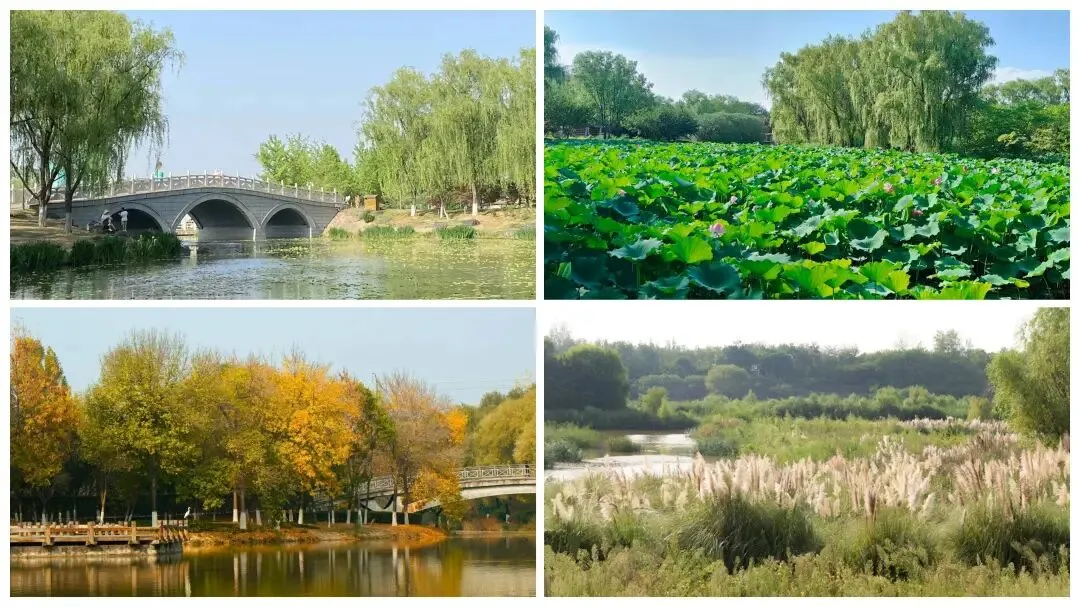 远洋·未央華府营销中心/10号线旁·湖畔相邻·公园大城/地铁旁·教育·运动生活示范区