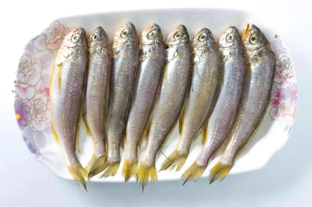 海鲜市场这4种鱼,虽不起眼但全是野生的,人工无法养殖,放心吃