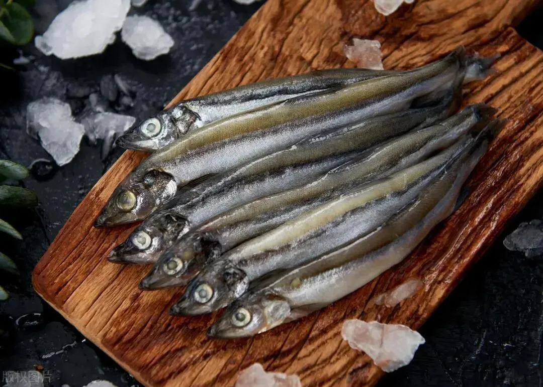 海鲜市场这4种鱼,虽不起眼但全是野生的,人工无法养殖,放心吃