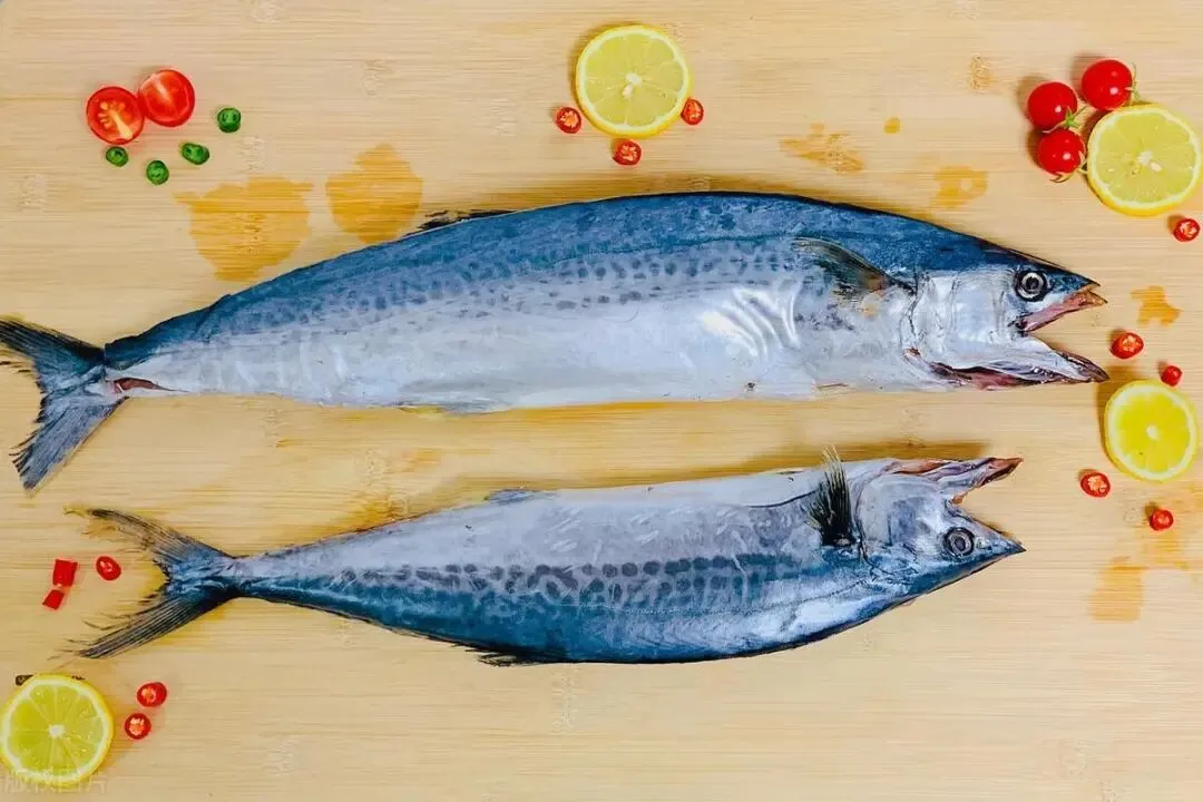 海鲜市场这4种鱼,虽不起眼但全是野生的,人工无法养殖,放心吃