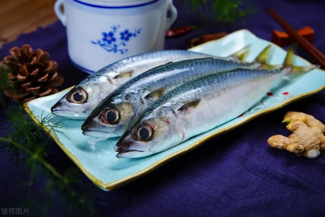 海鲜市场这4种鱼,虽不起眼但全是野生的,人工无法养殖,放心吃