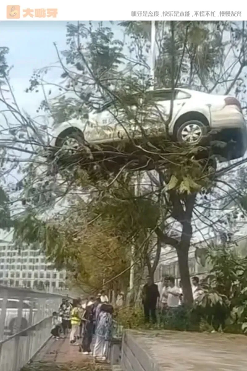 医院护栏神文案,主打一个反向营销 | 10大笑图