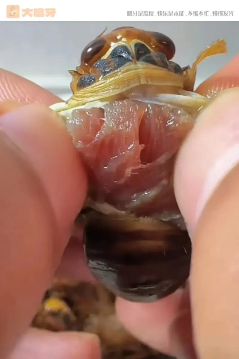 医院护栏神文案,主打一个反向营销 | 10大笑图