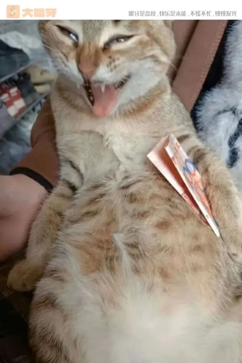 医院护栏神文案,主打一个反向营销 | 10大笑图