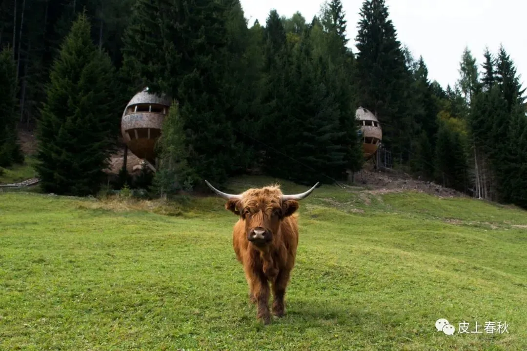 4.14牛皮市场日报|价格走势平稳,核心报价及库存情况汇总