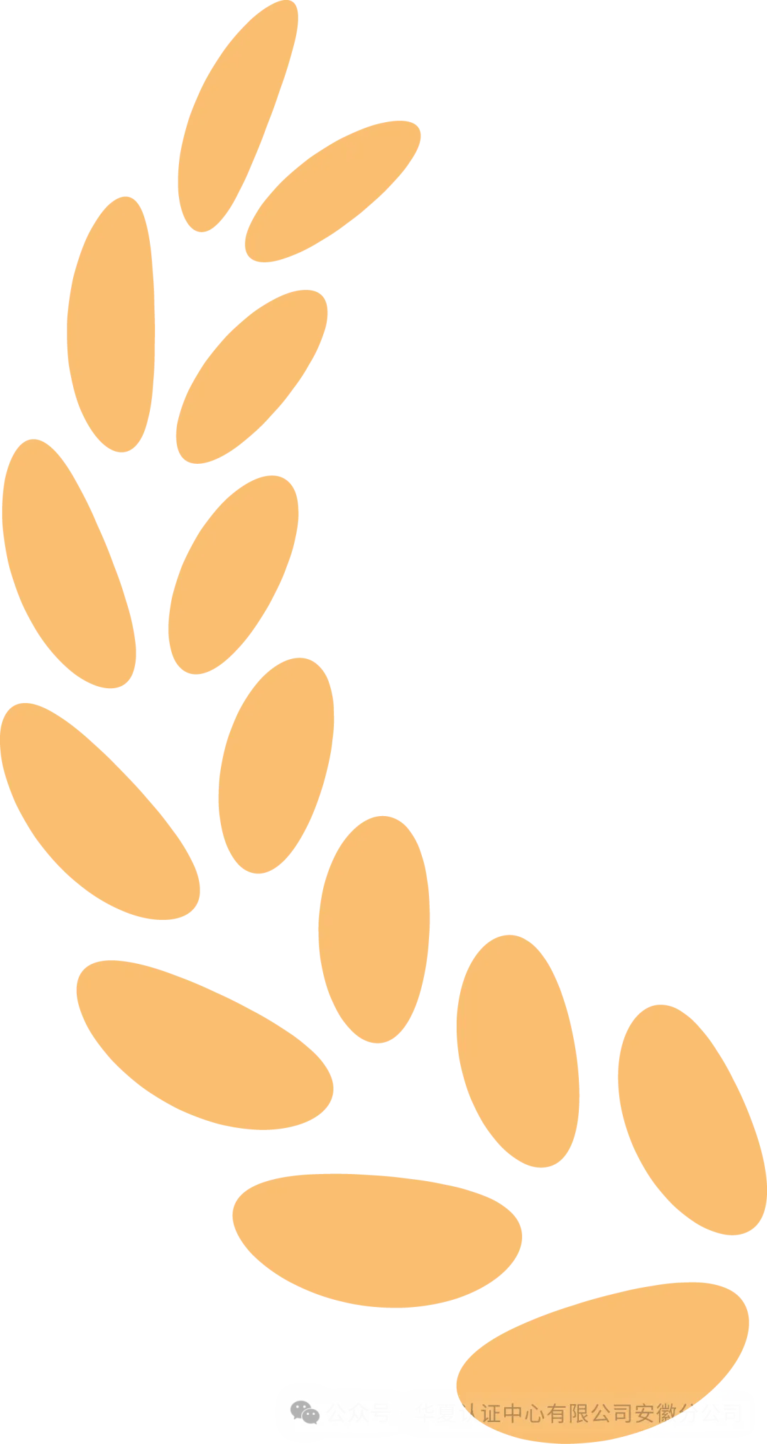 深耕东南亚认证市场 · 共促中心战略发展