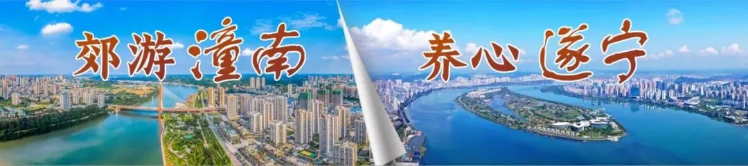 潼南区旅游市场违法违规问题整治典型案例