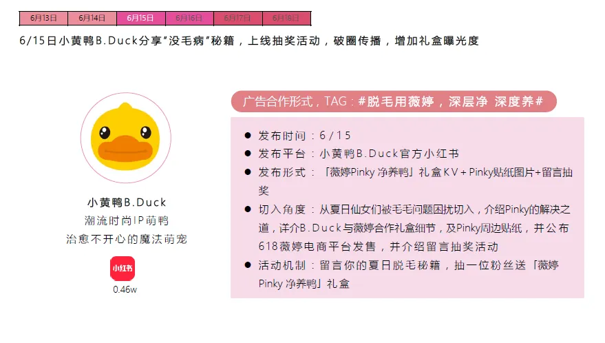 个人洗护品牌脱毛膏营销传播方案