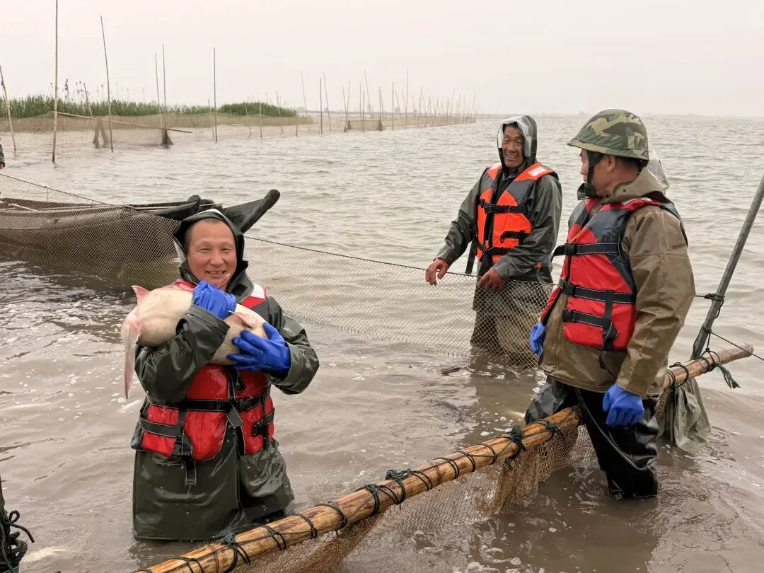 发车!岳阳生态鲜鱼首次直供香港市场
