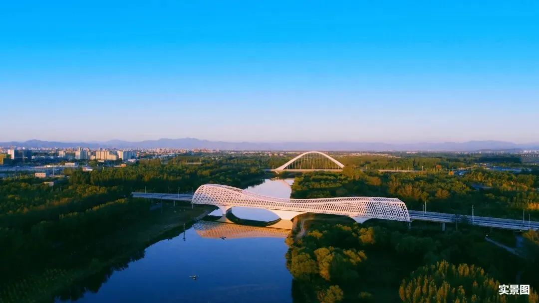 凭什么这个项目能大获成功?|市场