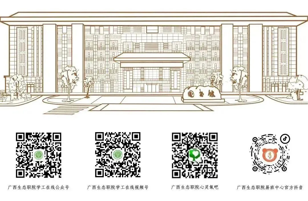 学校里学的拍摄、剪辑和营销,后来都成了他创业的底气