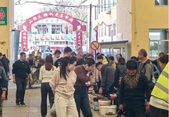 大樱桃市场探访:今年大樱桃价格略涨!