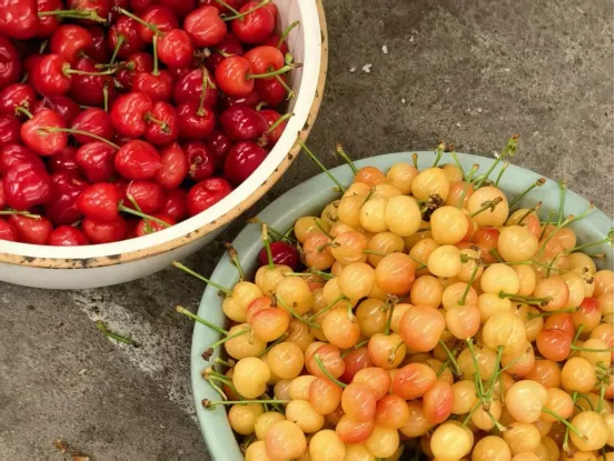 大樱桃市场探访:今年大樱桃价格略涨!