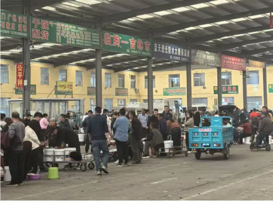 大樱桃市场探访:今年大樱桃价格略涨!