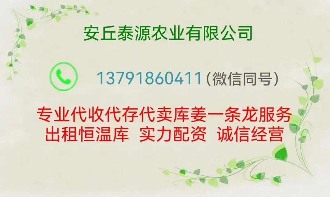 4月14日安丘市场行情:农户货上的少,交割货直接没看的