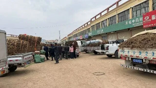 2026年4月13日首阳中药材市场快讯(切片市场上货量稳定,整体交易走缓)