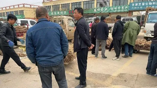 2026年4月13日首阳中药材市场快讯(切片市场上货量稳定,整体交易走缓)