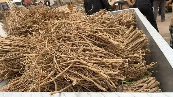 2026年4月13日首阳中药材市场快讯(切片市场上货量稳定,整体交易走缓)