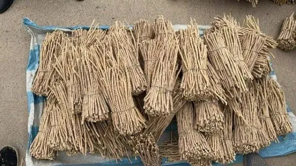 2026年4月13日首阳中药材市场快讯(切片市场上货量稳定,整体交易走缓)