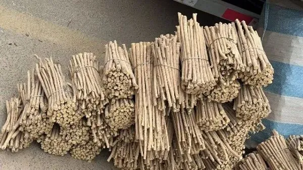 2026年4月13日首阳中药材市场快讯(切片市场上货量稳定,整体交易走缓)