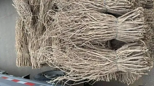 2026年4月13日首阳中药材市场快讯(切片市场上货量稳定,整体交易走缓)