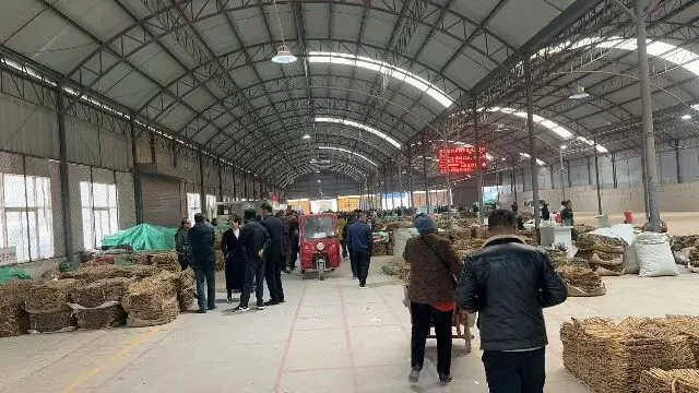 2026年4月13日首阳中药材市场快讯(切片市场上货量稳定,整体交易走缓)