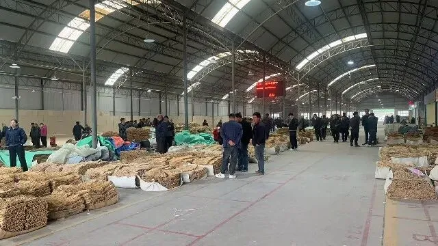 2026年4月13日首阳中药材市场快讯(切片市场上货量稳定,整体交易走缓)