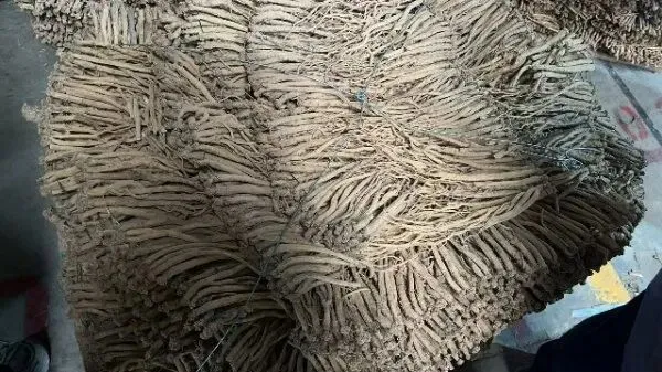 2026年4月13日首阳中药材市场快讯(切片市场上货量稳定,整体交易走缓)