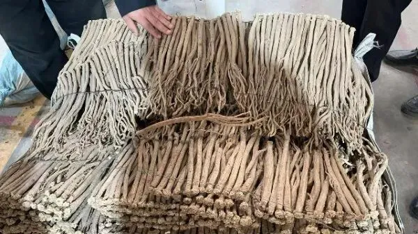 2026年4月13日首阳中药材市场快讯(切片市场上货量稳定,整体交易走缓)