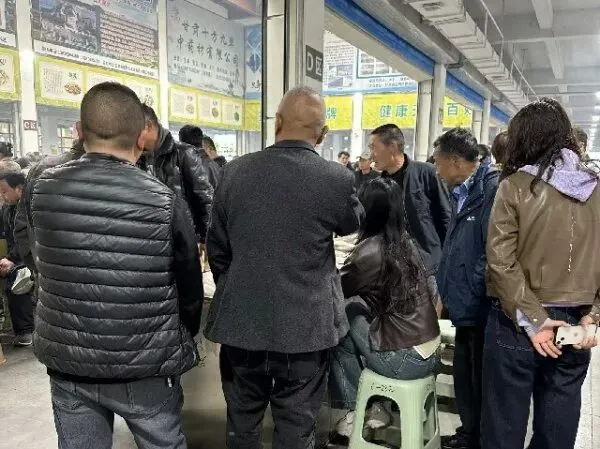 2026年4月13日首阳中药材市场快讯(切片市场上货量稳定,整体交易走缓)