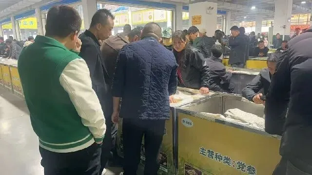 2026年4月13日首阳中药材市场快讯(切片市场上货量稳定,整体交易走缓)