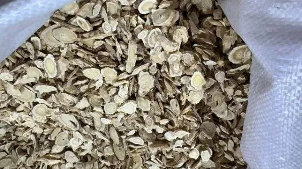 2026年4月13日首阳中药材市场快讯(切片市场上货量稳定,整体交易走缓)