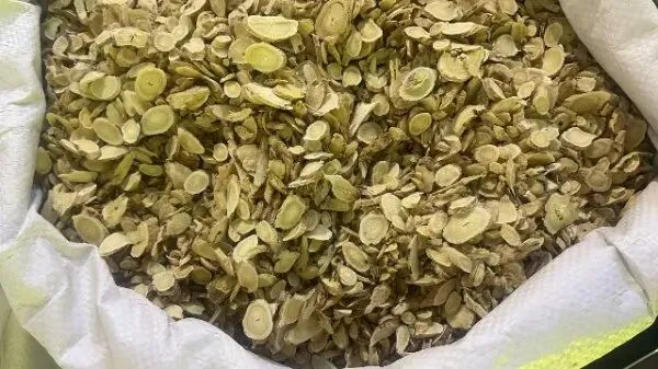 2026年4月13日首阳中药材市场快讯(切片市场上货量稳定,整体交易走缓)