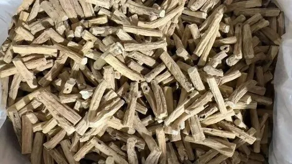 2026年4月13日首阳中药材市场快讯(切片市场上货量稳定,整体交易走缓)