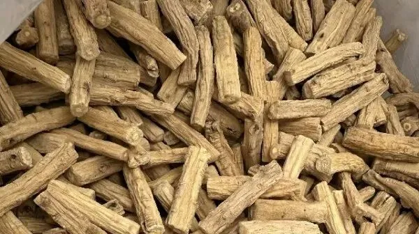 2026年4月13日首阳中药材市场快讯(切片市场上货量稳定,整体交易走缓)