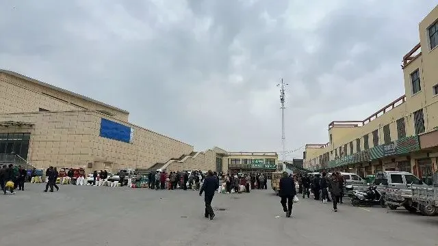 2026年4月13日首阳中药材市场快讯(切片市场上货量稳定,整体交易走缓)