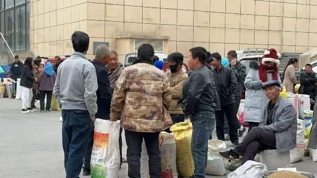 2026年4月13日首阳中药材市场快讯(切片市场上货量稳定,整体交易走缓)