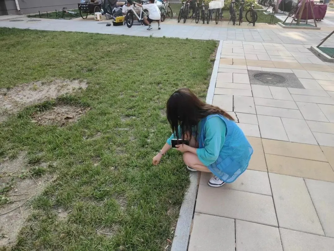 【计算机科学与技术学院】“美丽校园我建设”,校园建设我参与