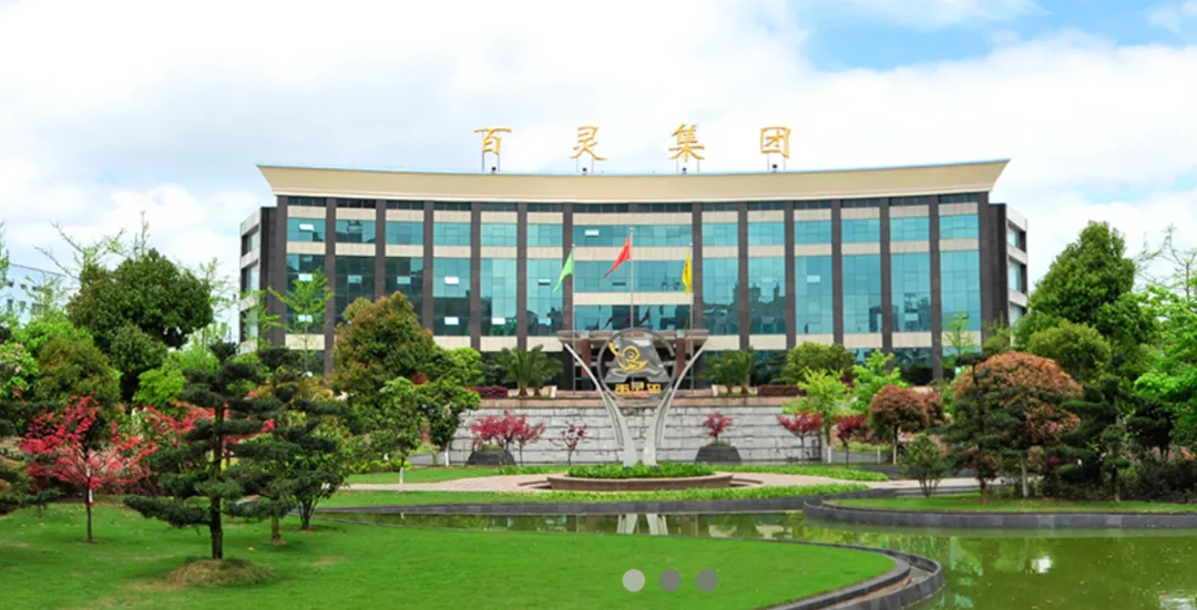 财务造假,罚款+市场禁入!违反权责发生制原则,贵州百灵虚增利润被罚款1000万元,独董亦不能幸免被罚